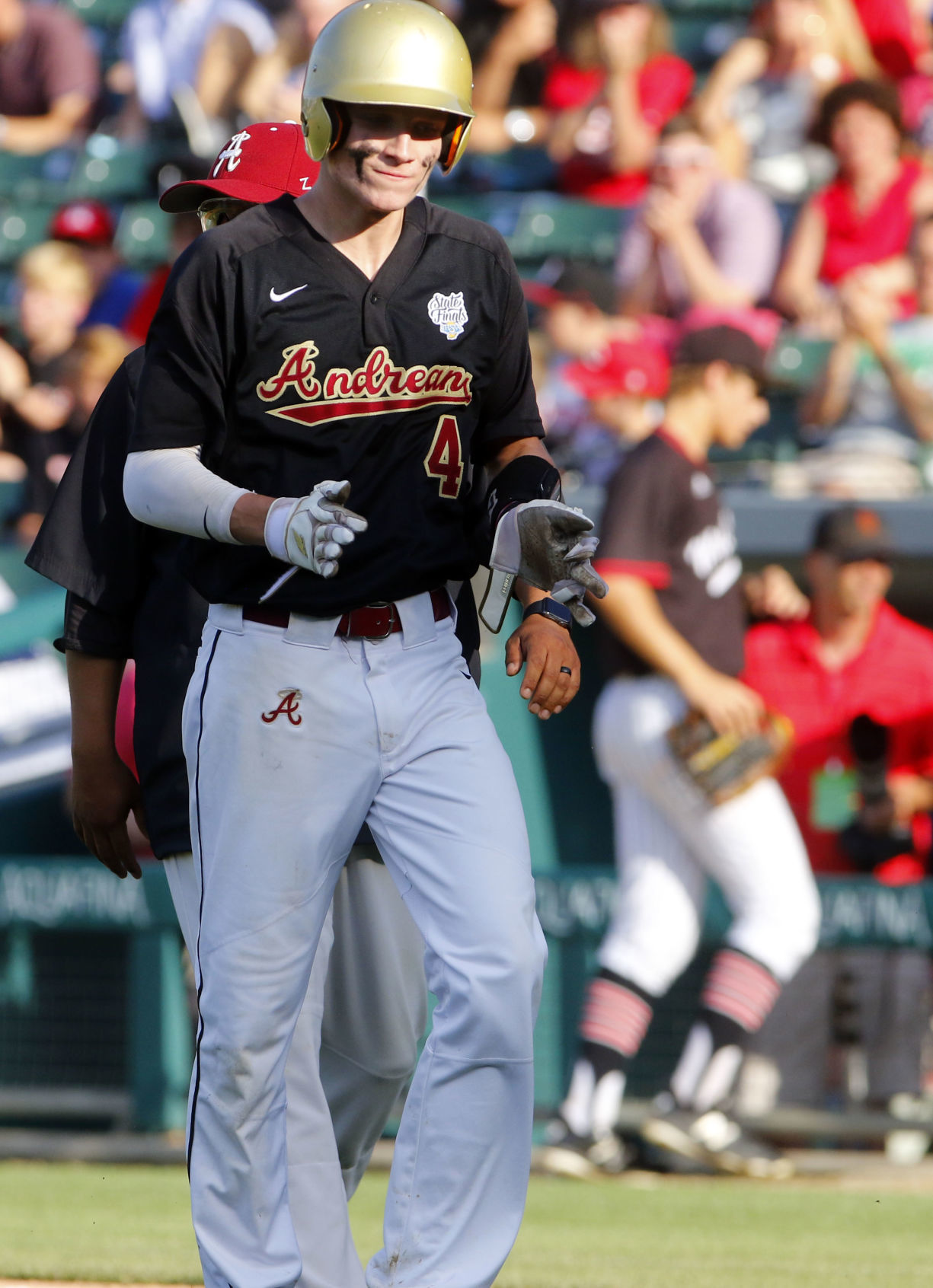 Gallery: Class 3A baseball championship: Andrean vs. Edgewood
